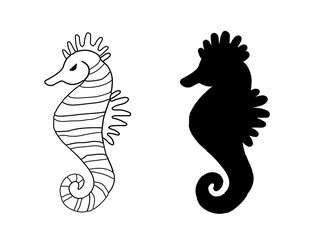 Sea horse illustration. Line art. Vector illustration on white background. Two versions, black shape and black and white silhouette. Cut out