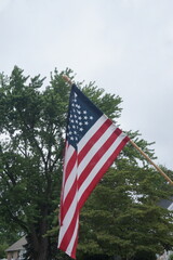 American Flag with Green Tree and Blue Sky in Background