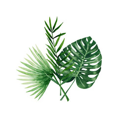 Green tropical leaf bouquet. Palm twigs, monstera branches. Moody jungle florals. Watercolor free-hand illustration for postcard, invitation, banner, event flyer, poster, presentation, menu, lifestyle