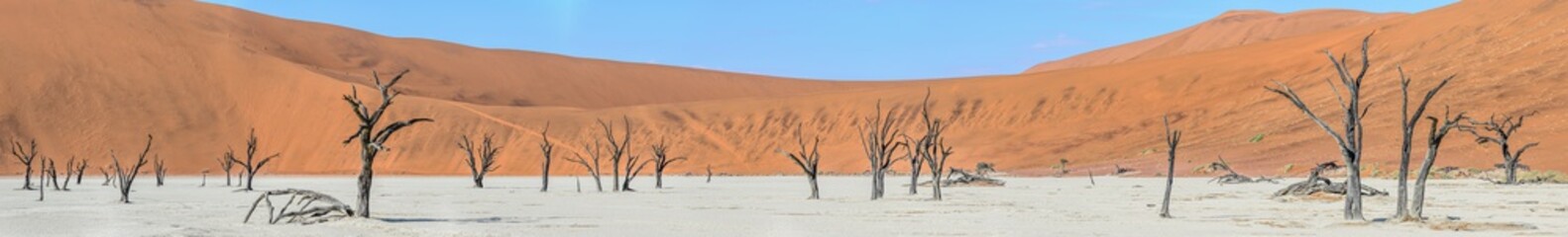 Sossusvlei (Dead Vlei), Namibia. - obrazy, fototapety, plakaty