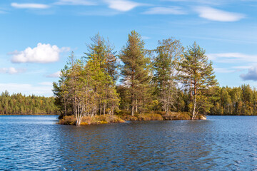 A small island covered with trees on a forest lake on a sunny windy day. Nature water landscape