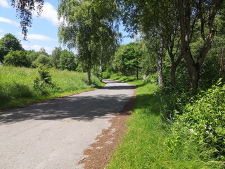 Fototapeta na wymiar Schmale Landstraße durch üppige grüne Landschaft im Sommer bei Sonnenschein bei Rinteln im Weserbergland im Kreis Schaumburg in Niedersachsen