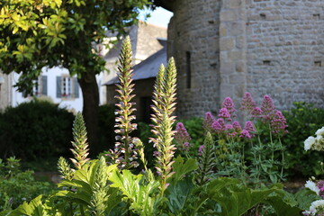Obraz premium Church of Locmariaquer, and its flower garden, France, Brittany