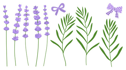 Fototapeta na wymiar Lavender flowers vector illustration. Provence wildflowers