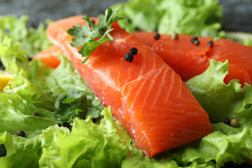 Fresh raw salmon and ingredients for cooking, close up