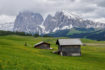 Beautiful meadow with several wooden houses facing the mountain in Alpe di Siusi Seiser Alm in the Dolomites, Italy, Europe