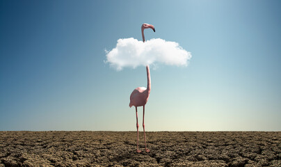 pink wild flamingo in severe drought desert - obrazy, fototapety, plakaty