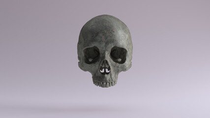 Old Bronze Human Female Skull Medical Anatomical Oxidised Patina 3d illustration render