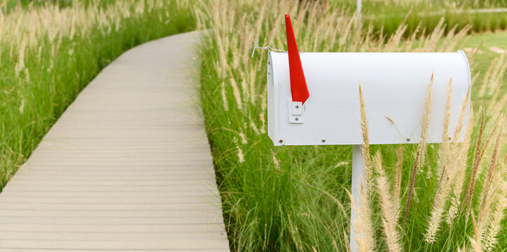 White metal mailbox or post box side of wooden way with grass flowers