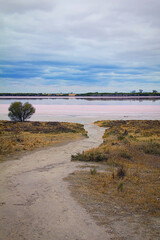 The remarkable Pink Lake in Australia. Pink Lake is a small, circular, salty pink lake on the Western Highway just north of Dimboola in Australia.