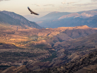Eagle flies over a mountain valley. Colorful sunny morning landscape with silhouettes of big rocky...