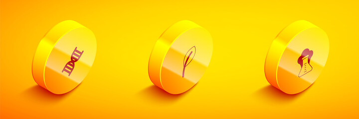 Set Isometric DNA symbol, Leaf or leaves and Chemical explosion icon. Vector