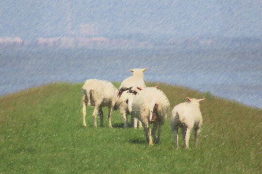 Grazing sheep on a dike painting, digital color sketch for wallpaper, postcard, art print