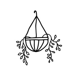 Hanging house plants and flowers in pots. Vector illustration, hand drawn design elements. Plants in pots hanging on decorative hangers. Hanging plant in pot, home design illustration