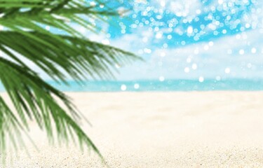 Coconut palm leaf against the beautiful beach. Vacation holidays background.