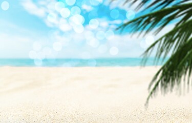 Coconut palm leaf against the beautiful beach. Vacation holidays background.