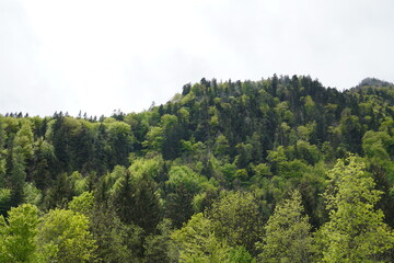 Kleine Wanderung bei Marquardstein