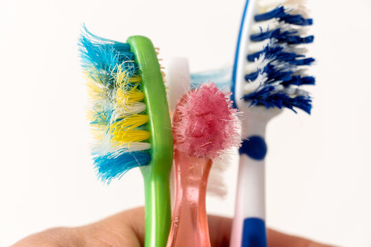 Old, spoiled, disheveled, colored toothbrushes in hand