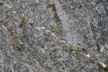 Kleine Wanderung bei Marquardstein