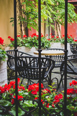 Fototapeta na wymiar Cozy street cafe with iron fence in old town. Empty patio with outdoor furniture and red flowers. Hotel terrace with chairs and tables. Sidewalk cafe decoration in backyard. Beautiful outdoor cafe.