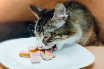 The cat steals the sausage from the plate.