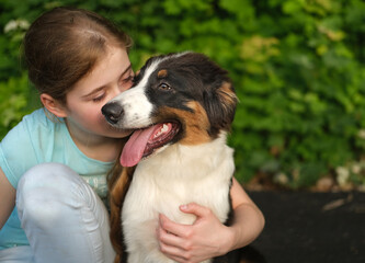  teenage girl kiss australian shepherd puppy dog in summer. Outdoor