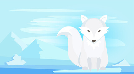 Fox of Arctic