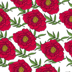 Seamless pattern of dark red peonies and green vetoches with oblong leaves, blooming motifs on a white background