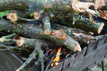 Burning wood, fire for grilling food. Risk of fire. Macro image