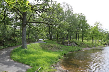 Fototapeta na wymiar Nature reserve Rådasjön in Mölndal, Gothenburg Sweden