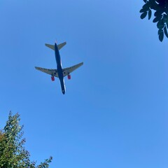 airplane in the sky