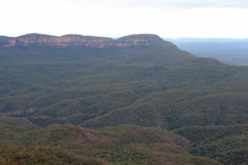 Fototapeta na wymiar echo point at blue mountains (australia)