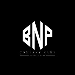 BNP letter logo design with polygon shape. BNP polygon logo monogram. BNP cube logo design. BNP hexagon vector logo template white and black colors. BNP monogram, BNP business and real estate logo. 