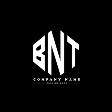 BNT letter logo design with polygon shape. BNT polygon logo monogram. BNT cube logo design. BNT hexagon vector logo template white and black colors. BNT monogram, BNT business and real estate logo. 