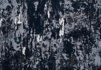 black and white texture forming abstract drawings