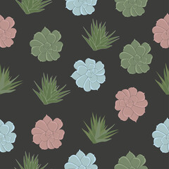 Seamless pattern with colorful succulent on black background. Floral vector illustration