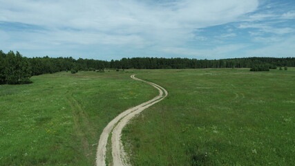 Winding road through the meadow to the forest on a summer day