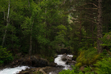 Obraz premium view from the top of a mountain towards the forest where a small river flows down the mountain.