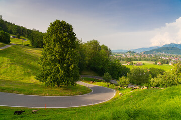 Curvy road in the hills