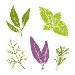 Bay leaf, mint, dill, basil, rosemary. Colorful paper cut collection of culinary herbbs isolated on white background. Doodle hand drawn fruits. Vector illustration