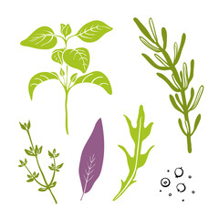 Oregano, rosemary, thyme, sage, arugula, pepper. Colorful paper cut collection of culinary herbbs isolated on white background. Doodle hand drawn fruits. Vector illustration