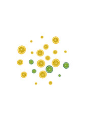 Green Lime Background White Vector. Fruit Piece Illustration. Juicy Effect Lemon. Yellow Print Decoration.