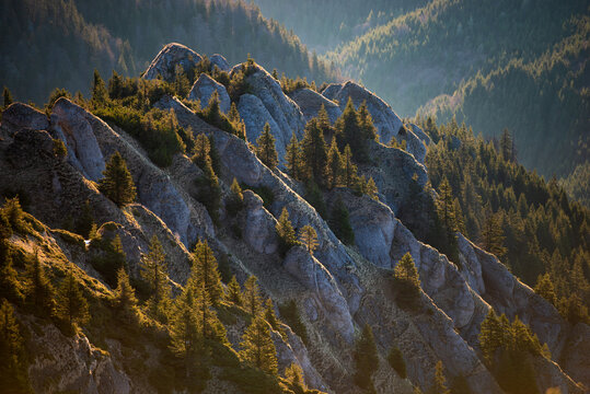 Beautiful image of Ciucas Montains