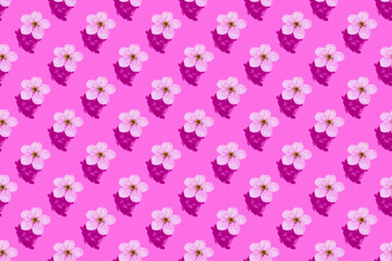 Fototapeta na wymiar Cherry blossom on pink water. Concept, wallpaper, fabric design. Seamless pattern
