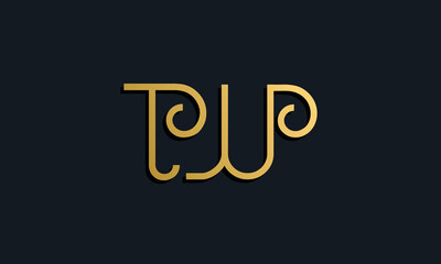 Fototapeta na wymiar Luxury fashion initial letter TW logo.