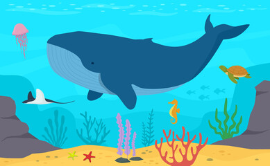 Whale swim in the ocean. Underwater life. Turtle, jellyfish, seahorse, stingray. Marine life vector illustration background.
