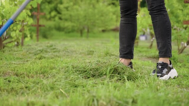 Close up of woman legs with rake, female harvesting freshly cut green grass