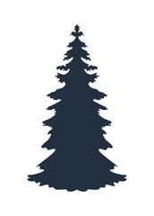silhouette of pine