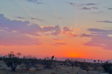 Sunset in California Desert With Clouds