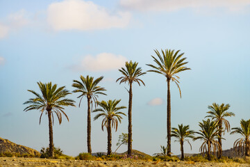 Obraz na płótnie Canvas Sierra Alhamilla landscape, Spain.